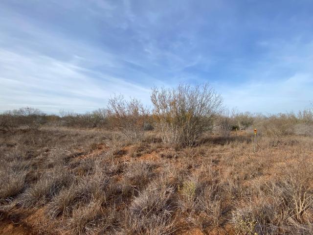 Land for sale in La Salle, Texas
