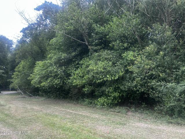 Land for sale in Dillon, South Carolina