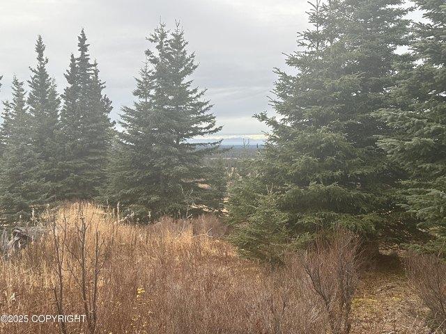 Land for sale in Ninilchik