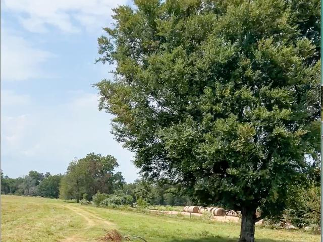 Land for sale in Midway, Texas
