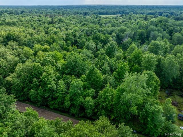 Land for sale in Tuscola, Michigan