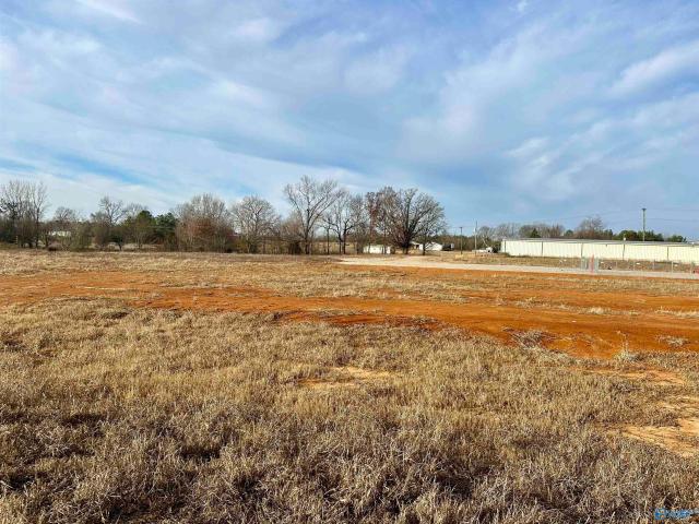 Land for sale in Alabama
