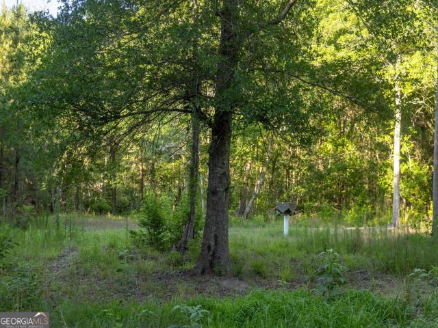 Land for sale in Screven, Georgia