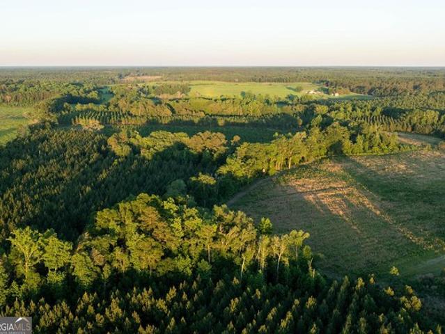 Land for sale in Screven, Georgia