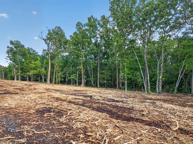 Land for sale in Macomb, Missouri