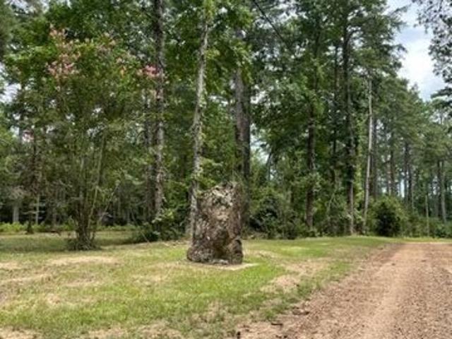 Land for sale in Jena, Louisiana