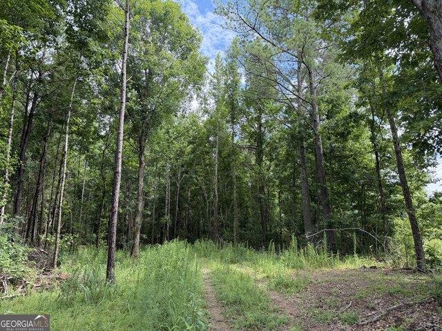 Land for sale in Haleyville, Alabama