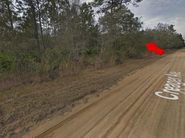 Land for sale in Interlachen, Putnam County