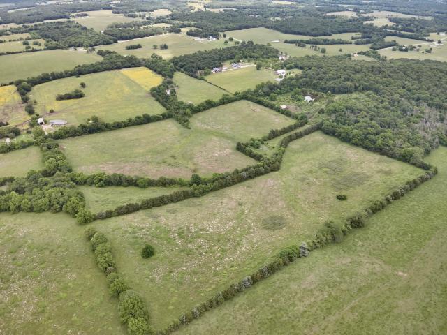 Land for sale in Bolivar