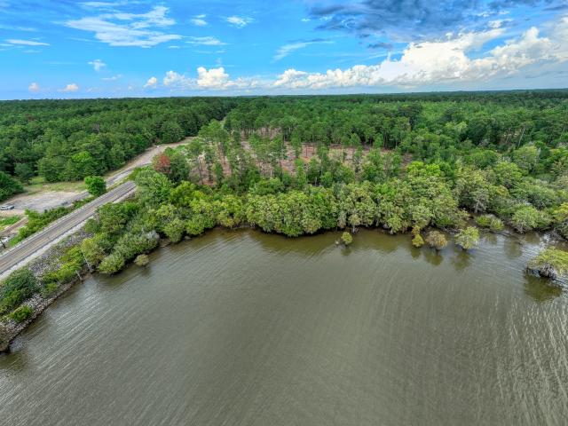 Land for sale in Pineland, Texas