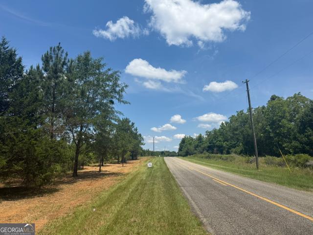 Land for sale in Cuthbert, Georgia
