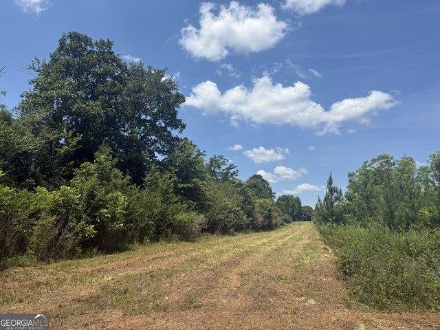 Land for sale in Cuthbert, Georgia
