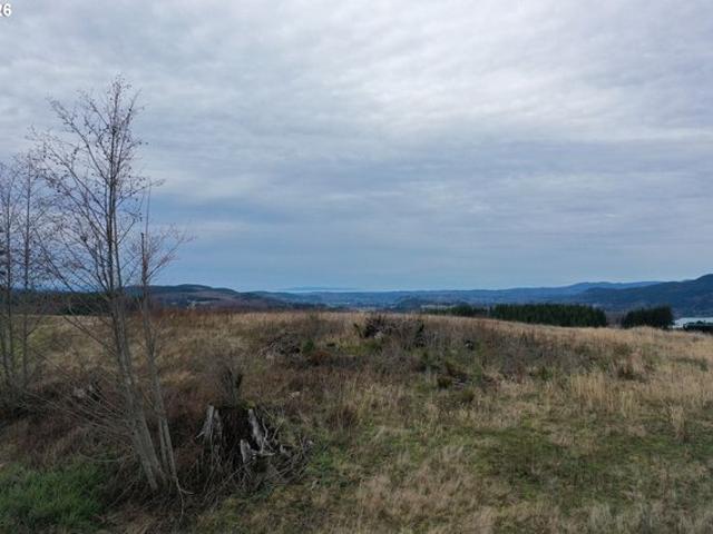Land for sale in Mossyrock, Washington