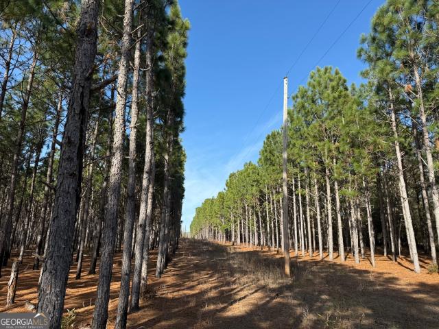 Land for sale in Plains, Georgia