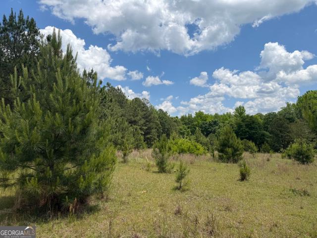 Land for sale in Wilkinson, Georgia