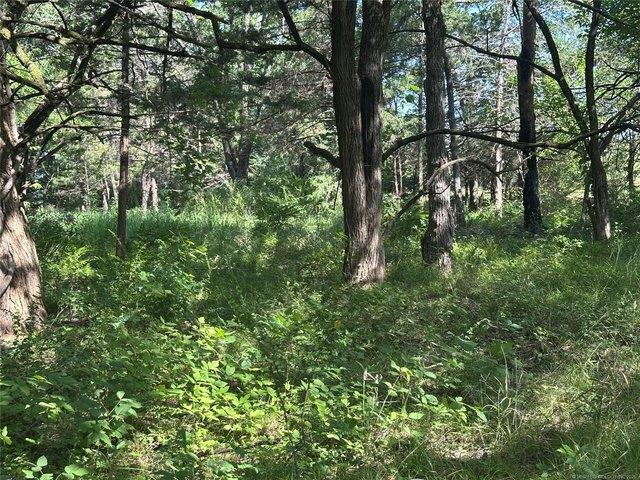 Land for sale in Bennington, Oklahoma