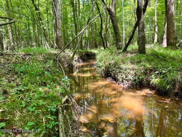 Land for sale in Sardis, Wesson