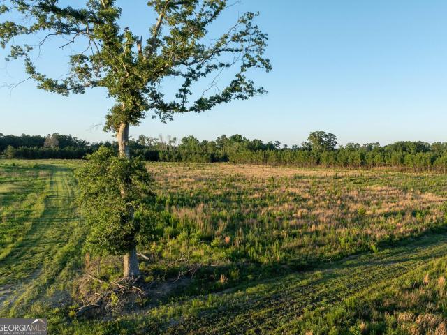 Land for sale in Screven, Georgia