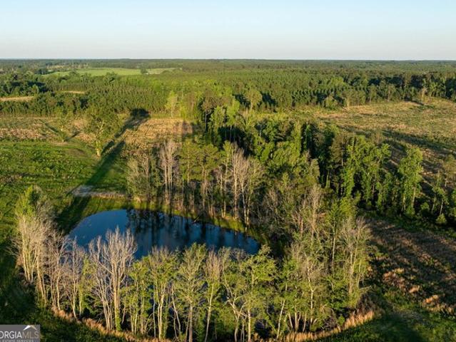 Land for sale in Screven, Georgia