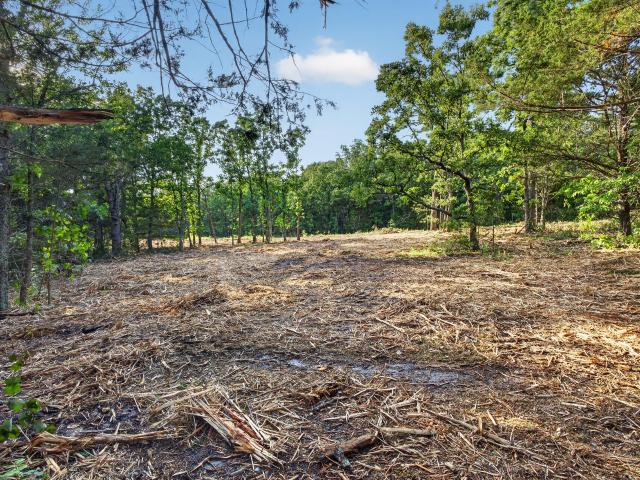 Land for sale in Macomb, Missouri
