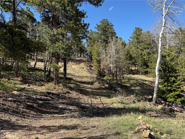 Land for sale in Central City, Colorado