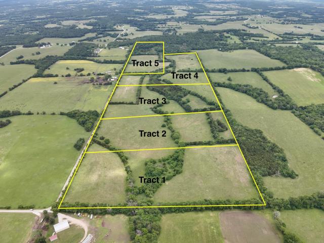 Land for sale in Bolivar