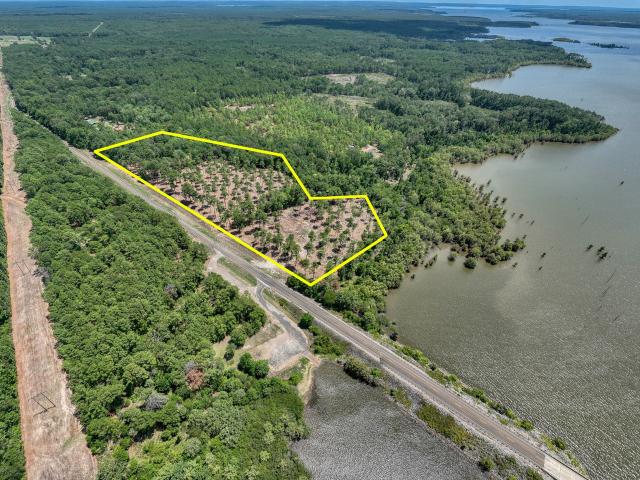 Land for sale in Pineland, Texas