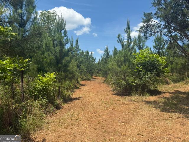 Land for sale in Cuthbert, Georgia