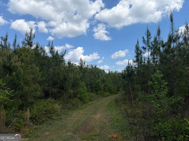 Land for sale in Cuthbert, Georgia