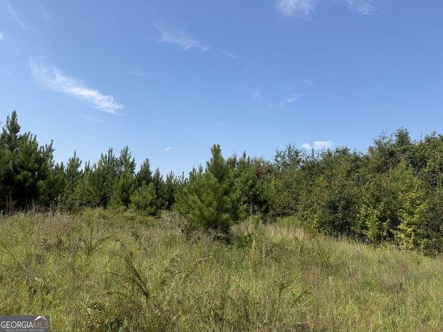 Land for sale in Toomsboro, Wilkinson County