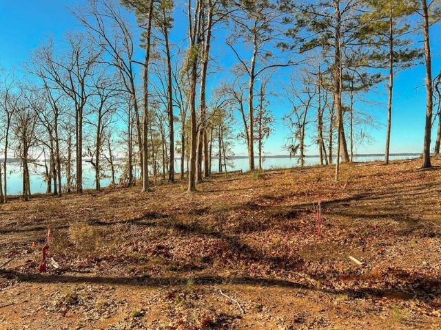 Land for sale in Many