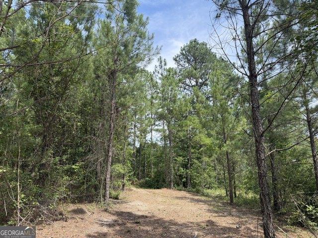 Land for sale in Elmore, Alabama
