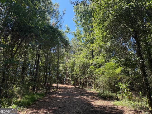Land for sale in Webb, Alabama