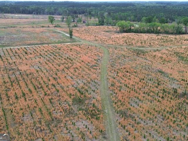 Land for sale in Screven, Georgia