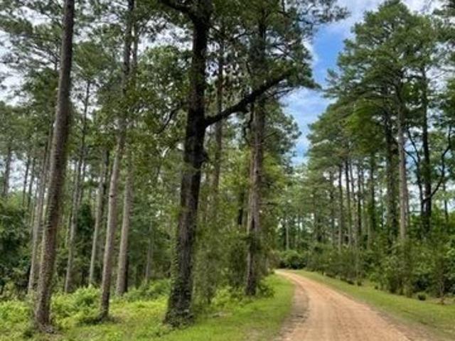 Land for sale in Jena, Louisiana