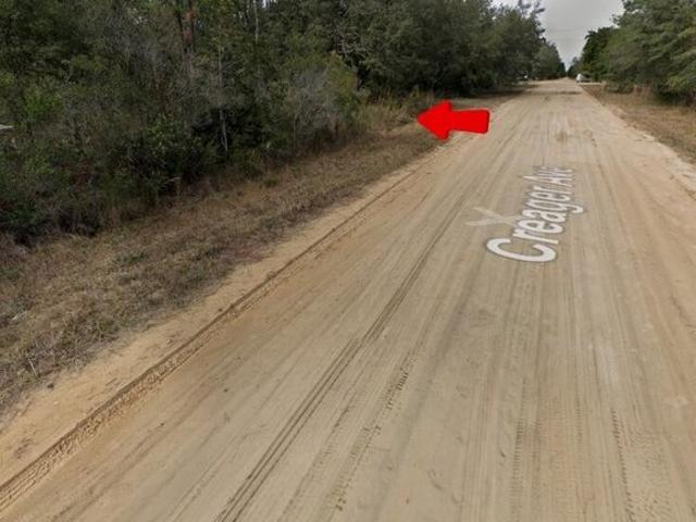 Land for sale in Interlachen, Putnam County