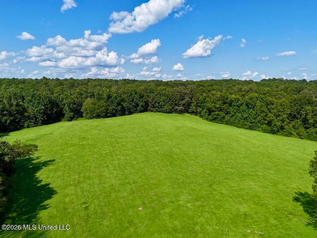 Land for sale in Sardis, Wesson
