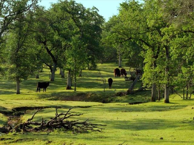Land for sale in Redding