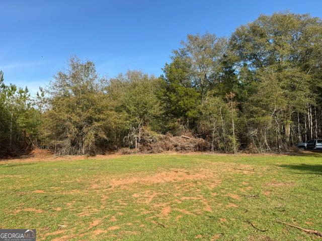 Land for sale in Plains, Georgia