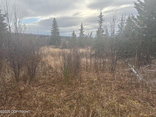 Land for sale in Ninilchik