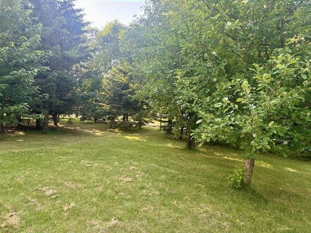 Land for sale in Holdingford, Minnesota