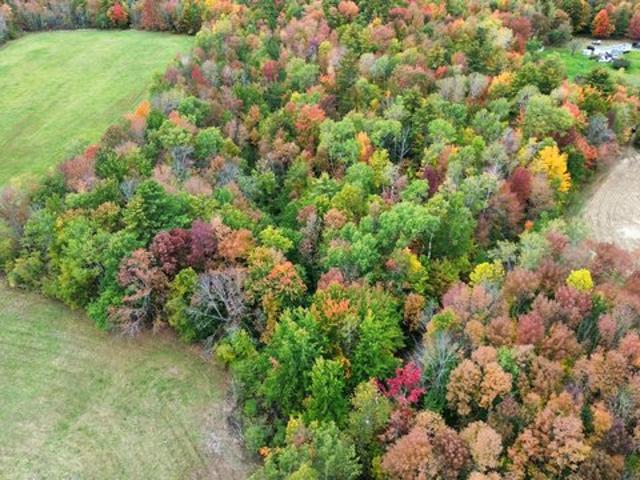 Land for sale in Charleston, Penobscot County
