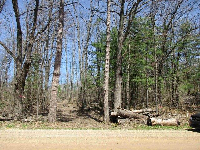 Land for sale in Clare, Michigan