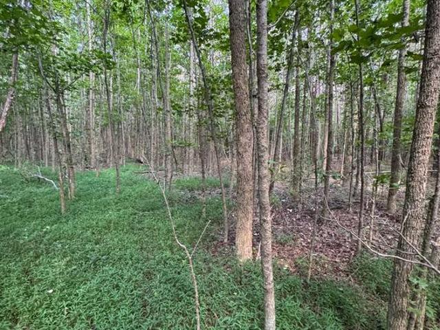 Land for sale in Dorchester, Maryland