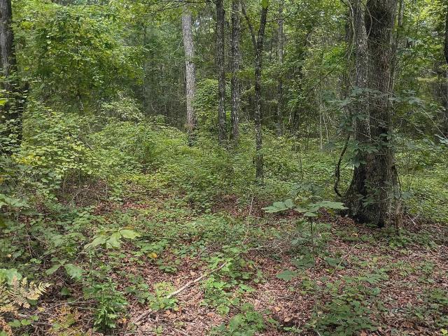 Land for sale in Riverside, Alabama