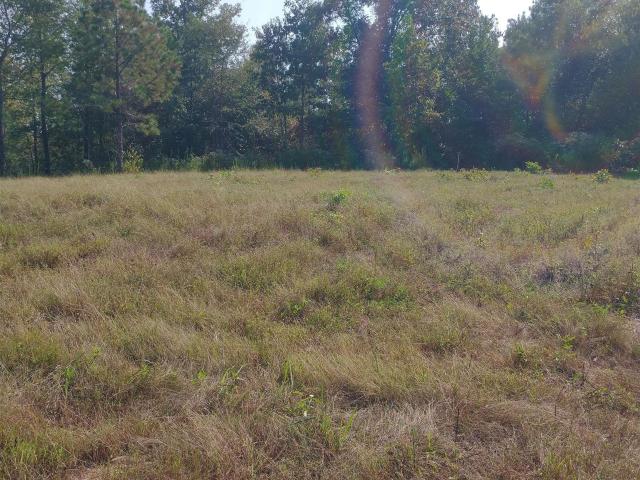 Land for sale in Riverside, Alabama