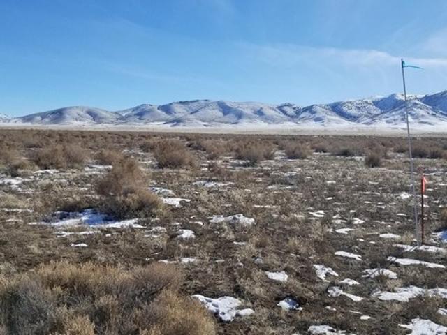 Land for sale in Imlay, Nevada