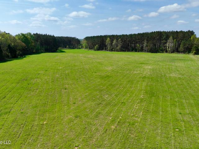 Land for sale in Canton, Mississippi