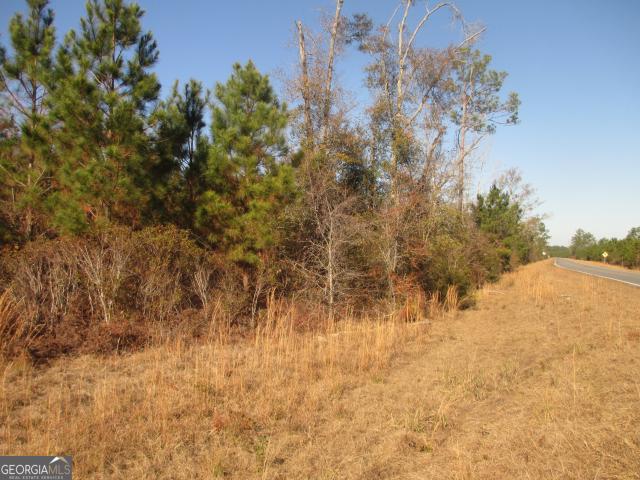 Land for sale in Georgia