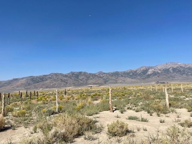 Farm for sale in Wells, Nevada